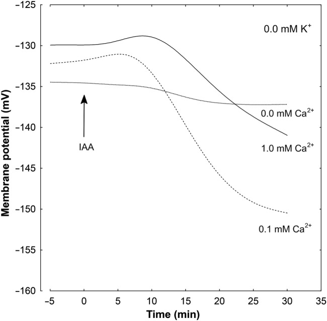 Figure 6.