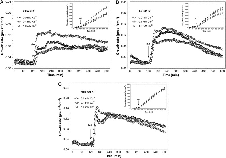 Figure 2.