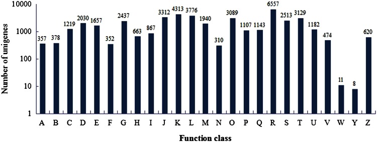 Fig. 2