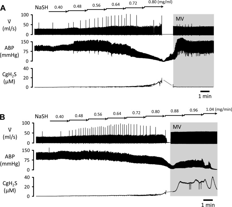 Fig. 3.