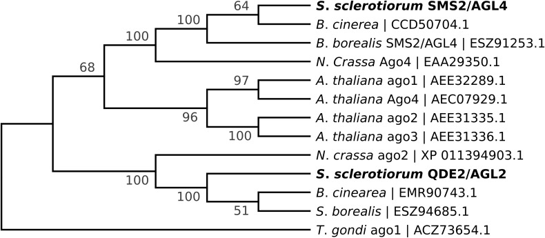 FIGURE 1