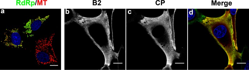 Fig 9