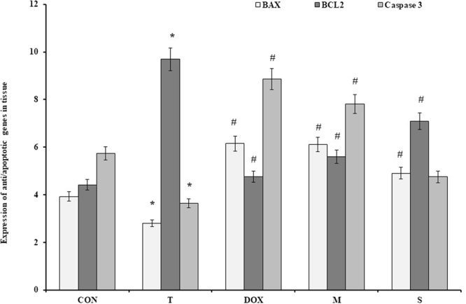 Figure 11