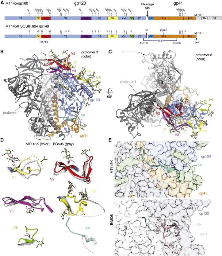 Figure 2