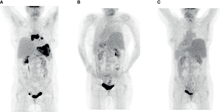 Figure 2