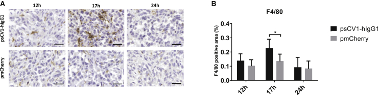 Figure 7