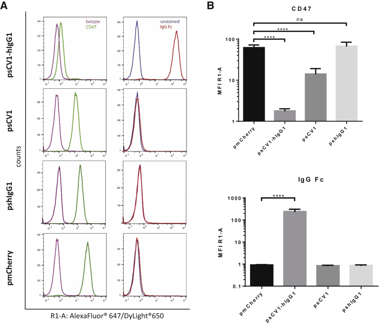 Figure 2