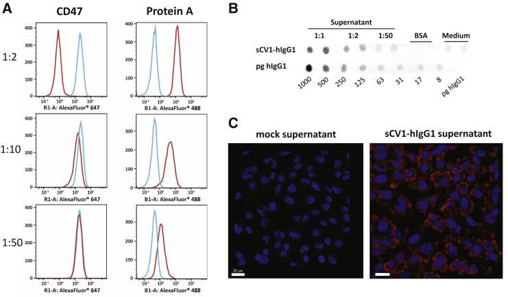 Figure 3