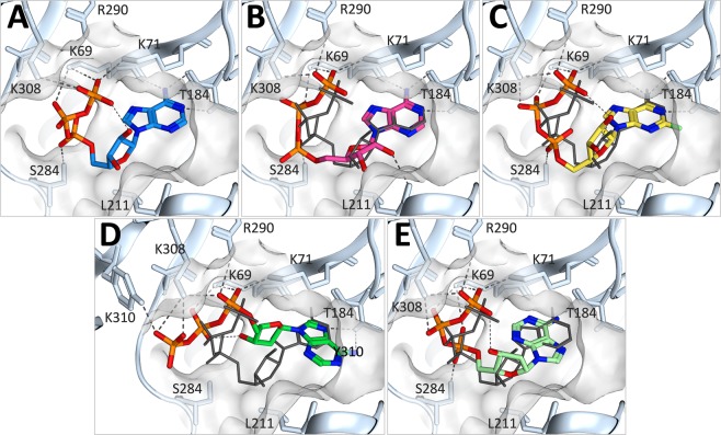 Figure 6