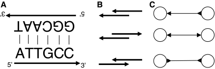 FIG. 1.