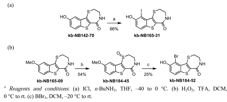 Scheme 10.