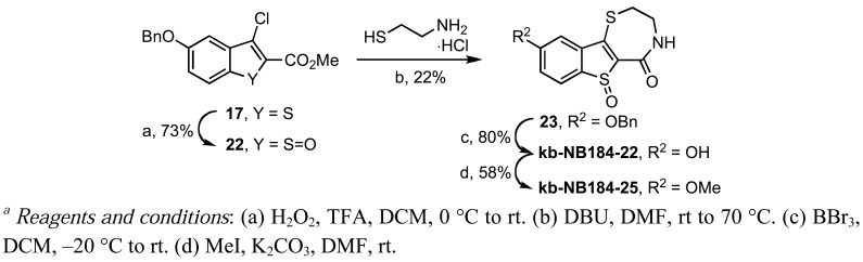 Scheme 12.