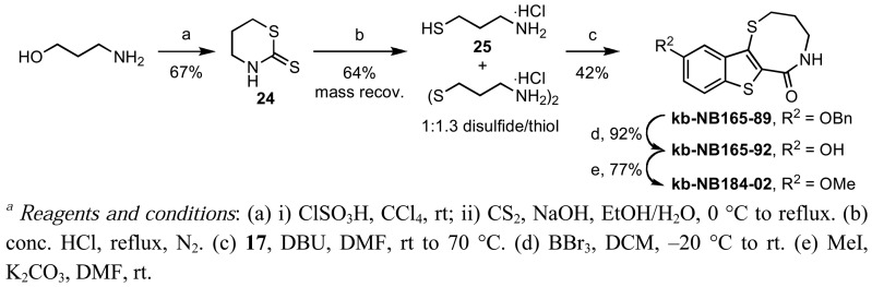 Scheme 13.