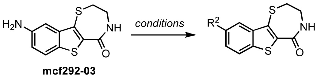 graphic file with name pharmaceutics-03-00186t13.jpg