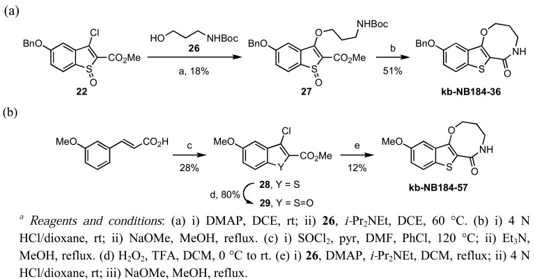 Scheme 14.