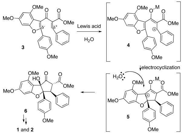 Scheme 1