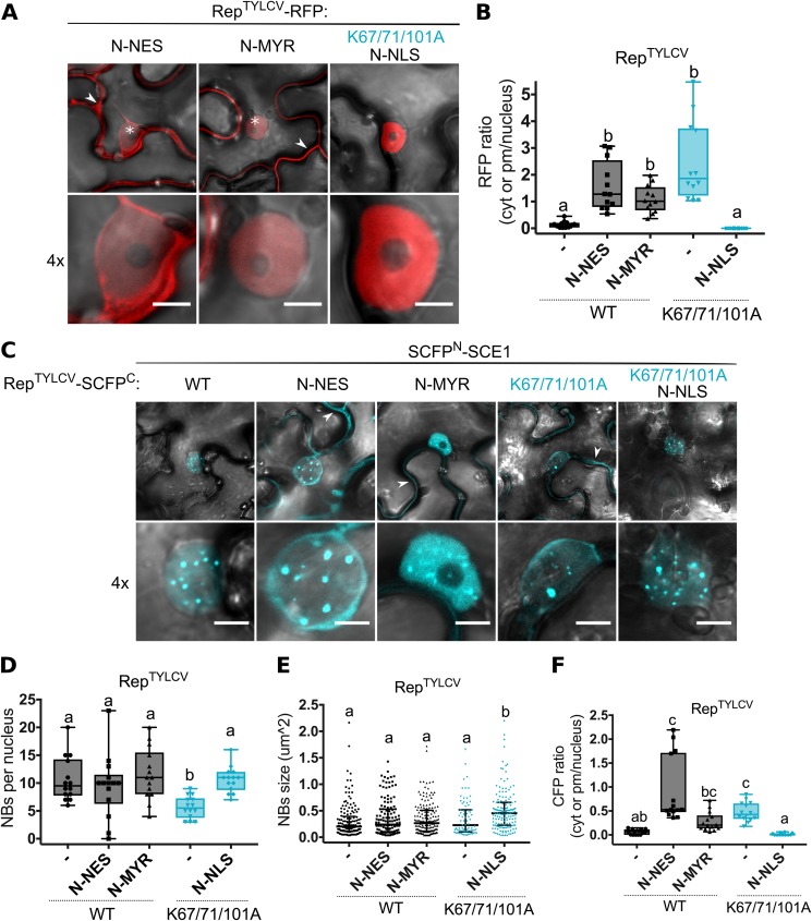 FIG 6