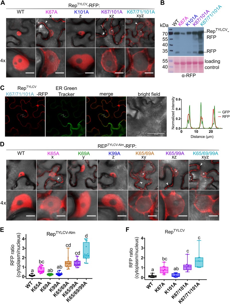 FIG 3