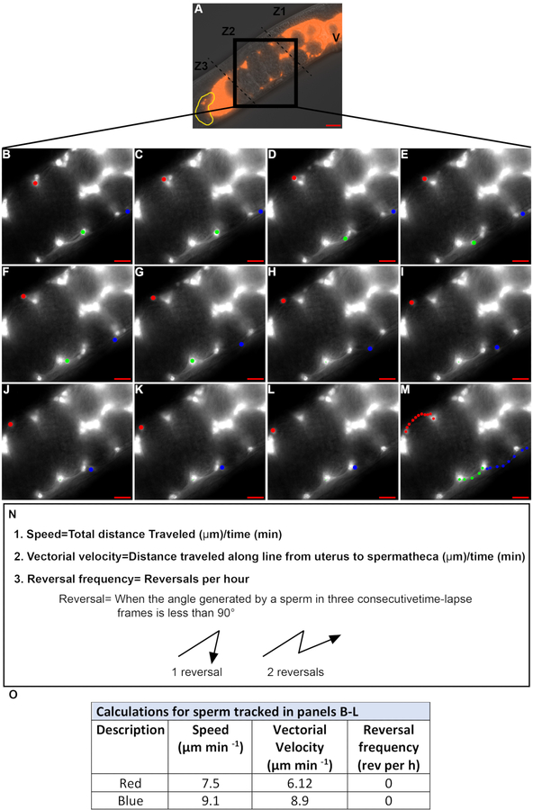 Figure 4: