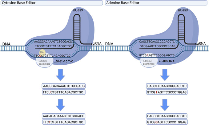 FIGURE 1