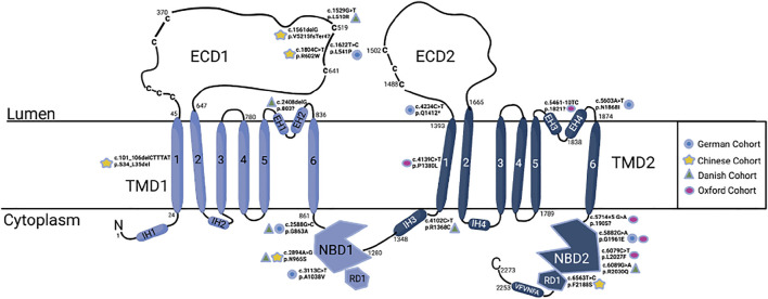 FIGURE 5