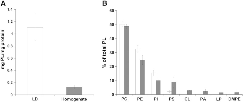 Fig. 3