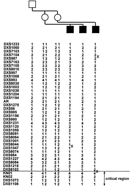 Figure  3