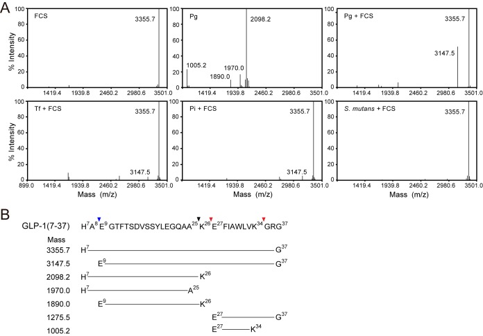 FIG 3