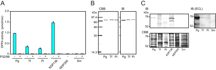 FIG 2