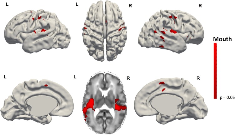 Figure 4.