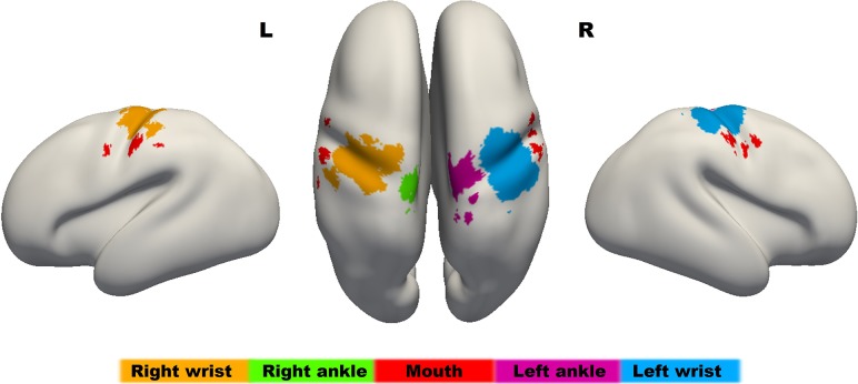 Figure 5.