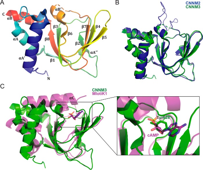 Figure 2.