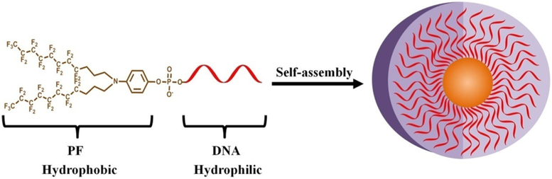 Scheme 1.