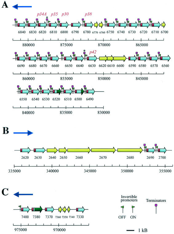 FIG. 8.