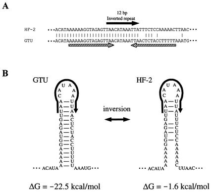 FIG. 5.