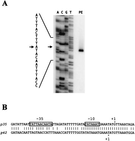 FIG. 7.