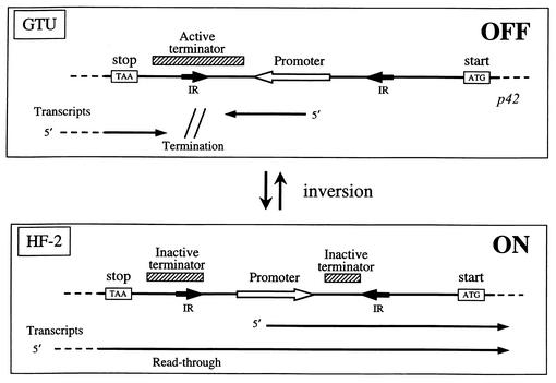 FIG. 9.