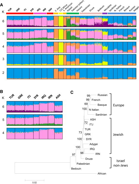 Figure 2