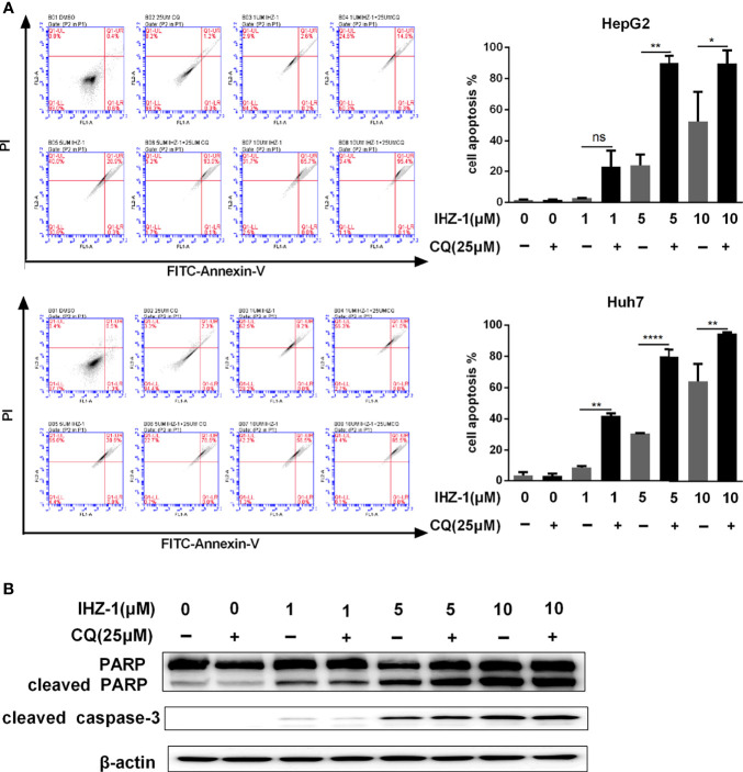 Figure 4