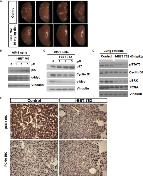 Fig 4: