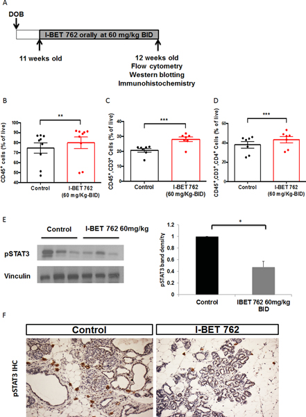 Fig 2: