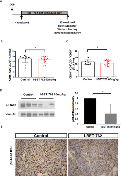 Fig 3: