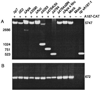 FIG. 7