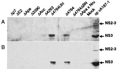 FIG. 5