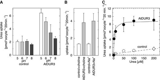 Figure 6.