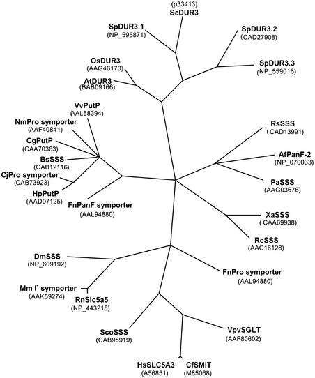 Figure 3.