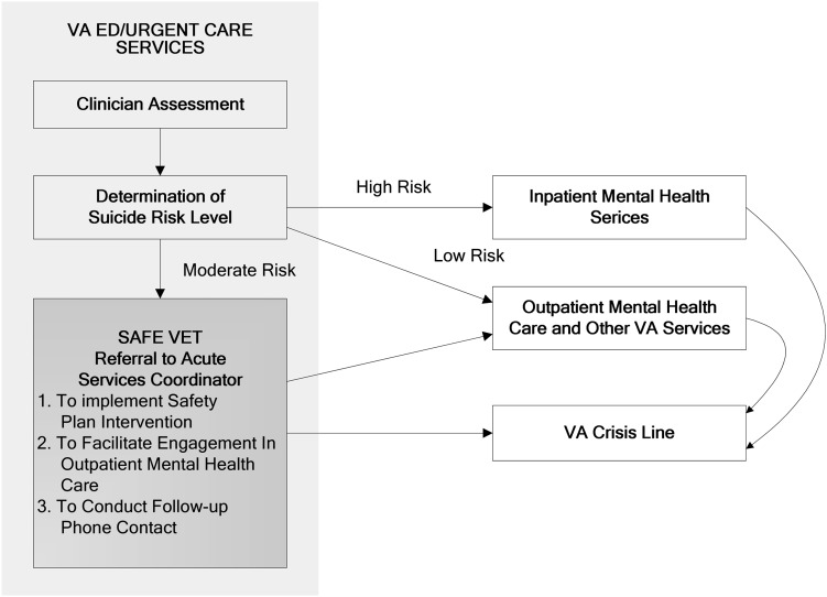 FIGURE 1—