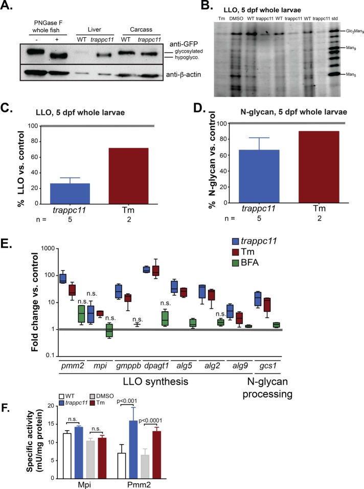 FIGURE 4: