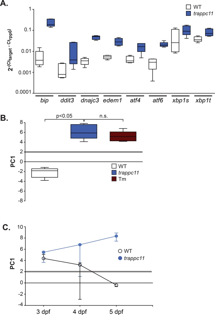 FIGURE 1: