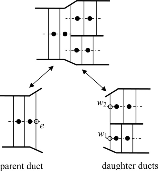 Fig. 12